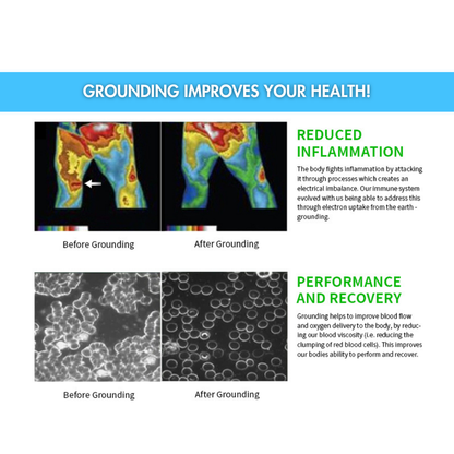 Terraflex Barefoot Shoes
